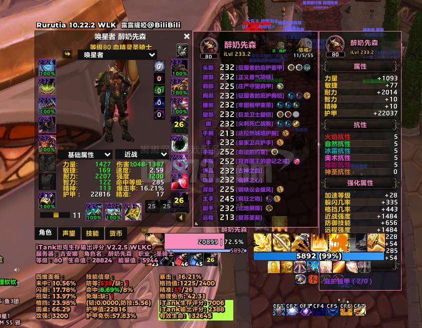 打工防骑!法师!dk多件252毕业装备!全部双专业!